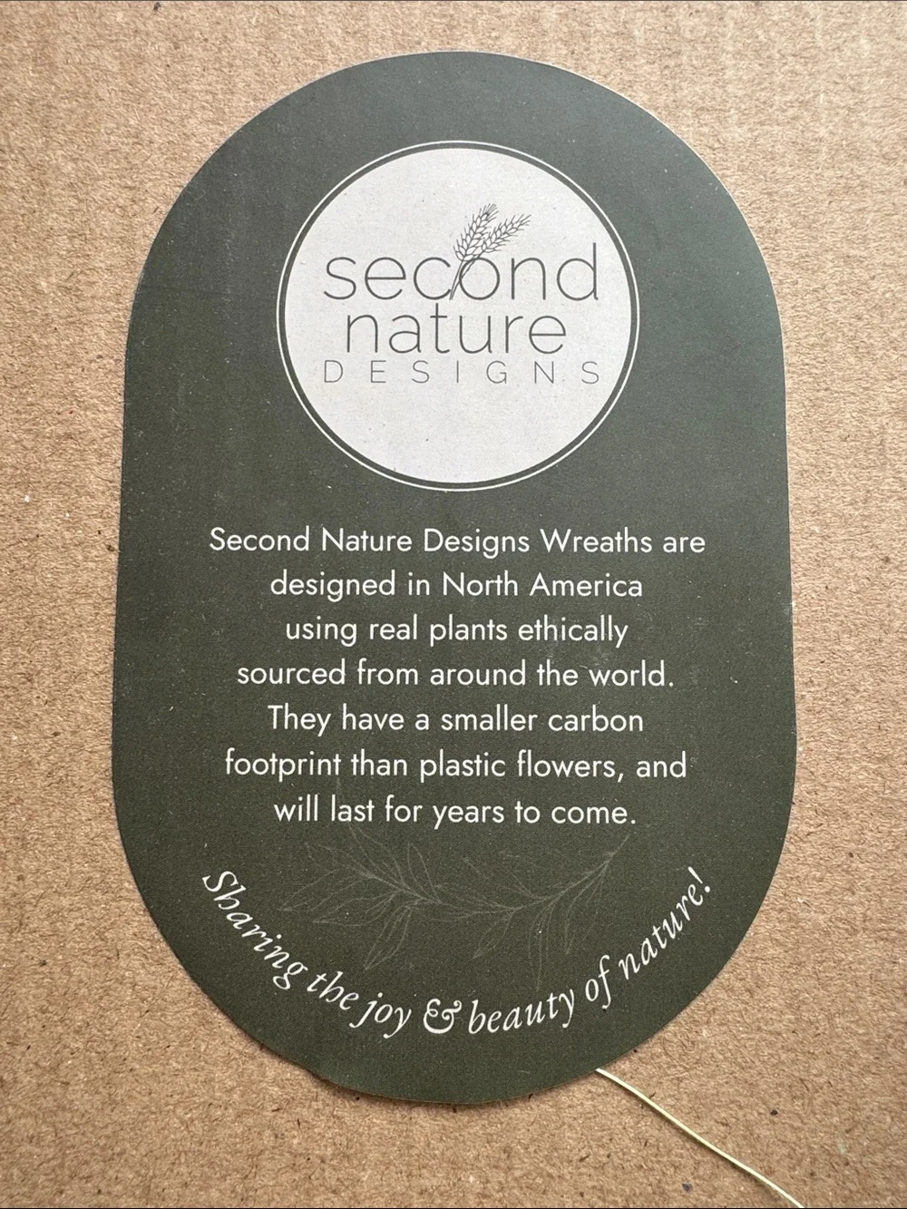 Second Nature Design Holiday Dried Floral Wreath in Red, Green, and Natural